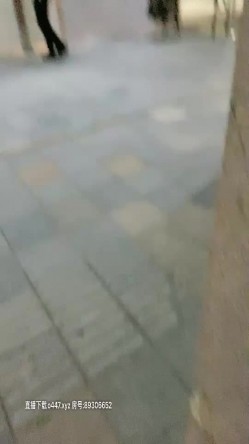 预览图5