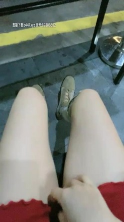 预览图6