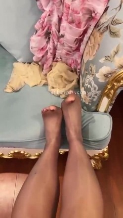 预览图14