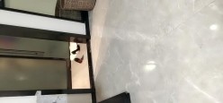 预览图4