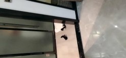 预览图5