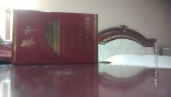 预览图5