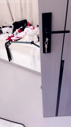 预览图13