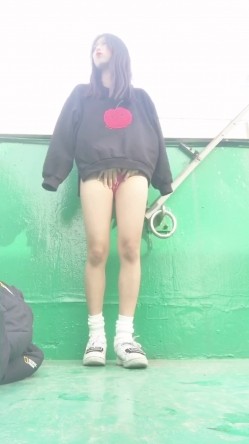 预览图16