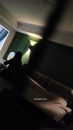 预览图1