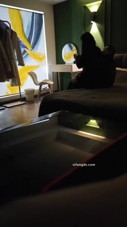 预览图5