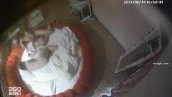 预览图5