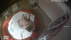预览图12