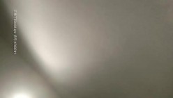 预览图4