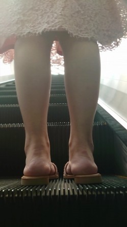 预览图7