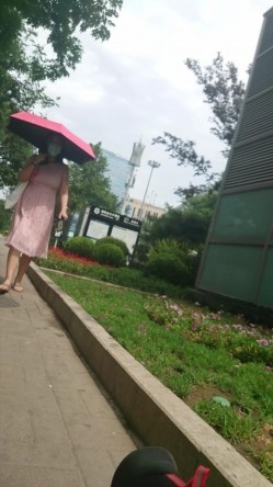 预览图13