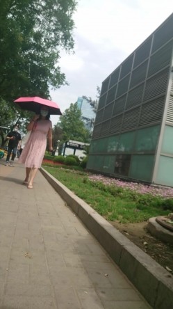 预览图14