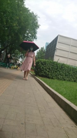 预览图15