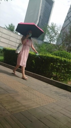 预览图16