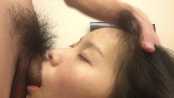 预览图9