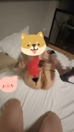 预览图5