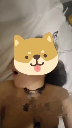 预览图12
