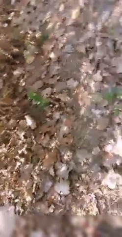 预览图15