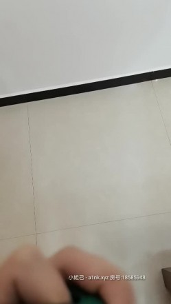 预览图9
