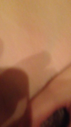 预览图8