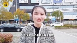预览图7