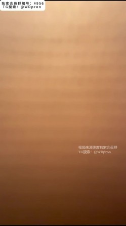 预览图4