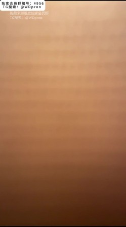 预览图5