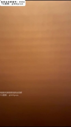 预览图6