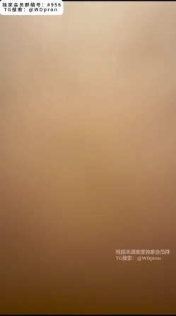 预览图8