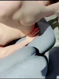 预览图5