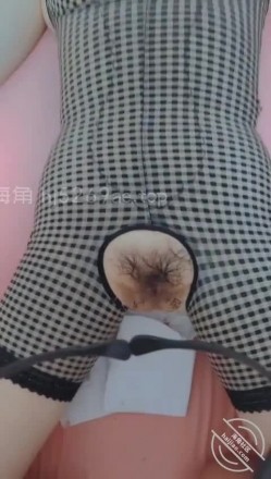 预览图12