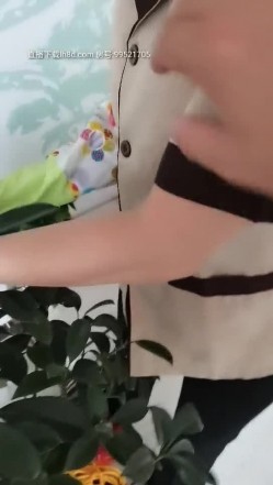 预览图5