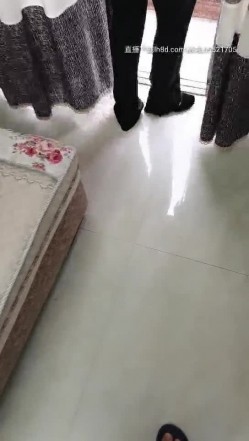 预览图8