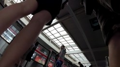 预览图5