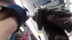 预览图16