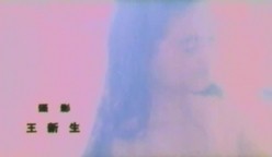 预览图6
