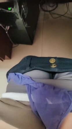 预览图2
