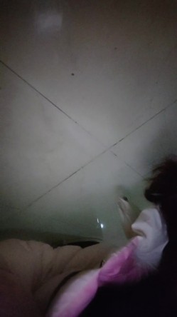 预览图8