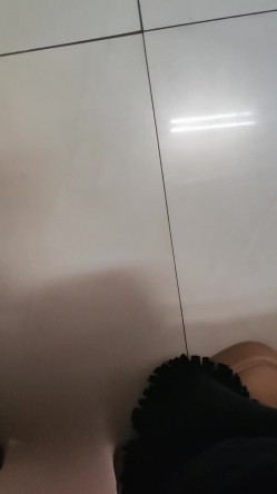 预览图16