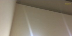 预览图8