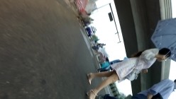 预览图8