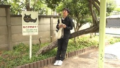 预览图2