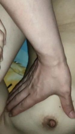 预览图5