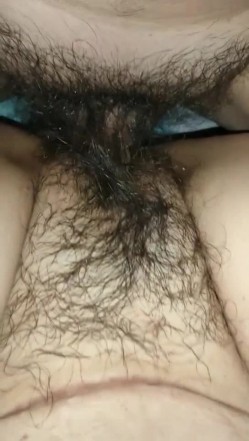 预览图9