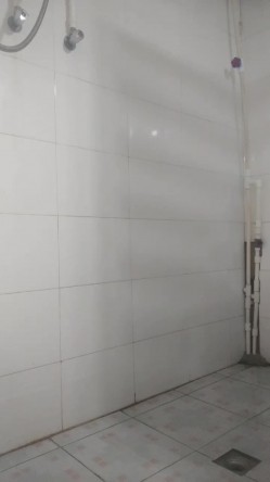 预览图4