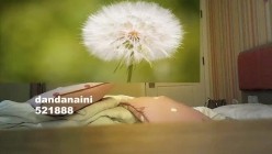 预览图15