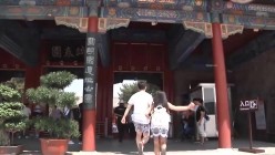 预览图4