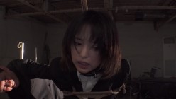 预览图5