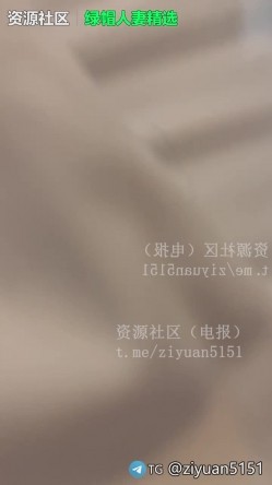 预览图4