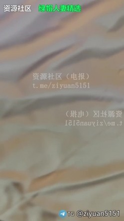 预览图5